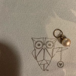 Origami Owl Dangle